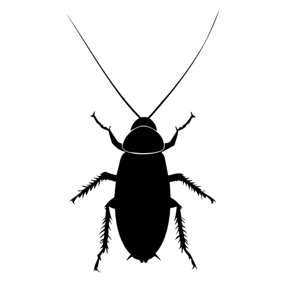 Cockroach silhouette isolated on white background. Icon Vector illustration
