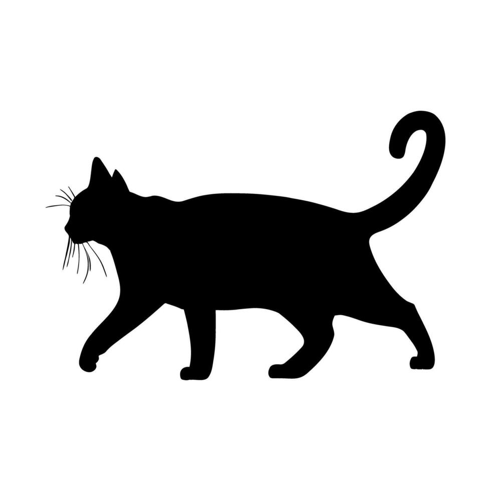 Fat cat silhouette isolated vector