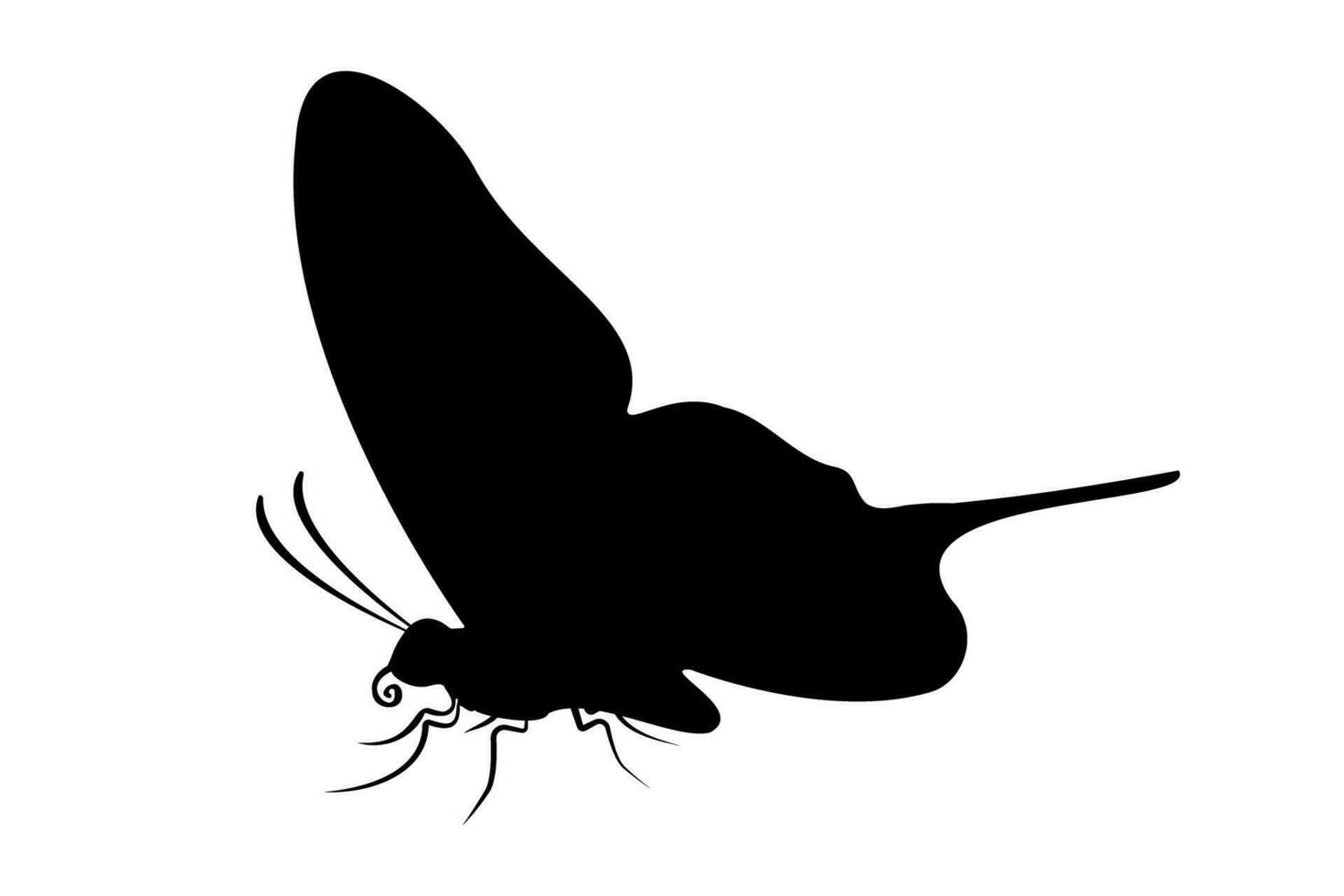 Flying Butterfly Silhouette isolated on white background. Vector illustration