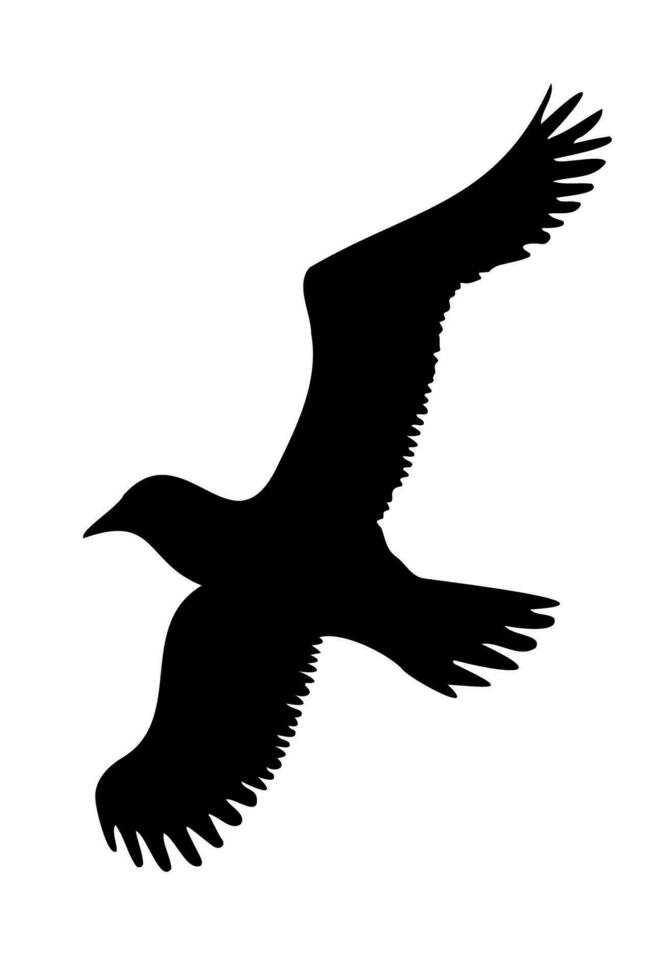 Seagull Bird flying silhouette isolated. Vector illustration