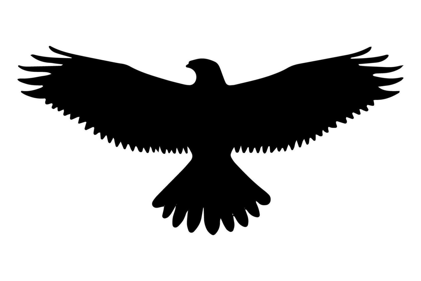Bald eagle Bird flying silhouette isolated. Vector illustration