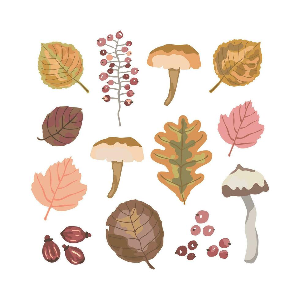 Set of forest life objects, mushrooms, leaves and berries. Watercolor effect hand drawn vector illustration. Autumn, fall.