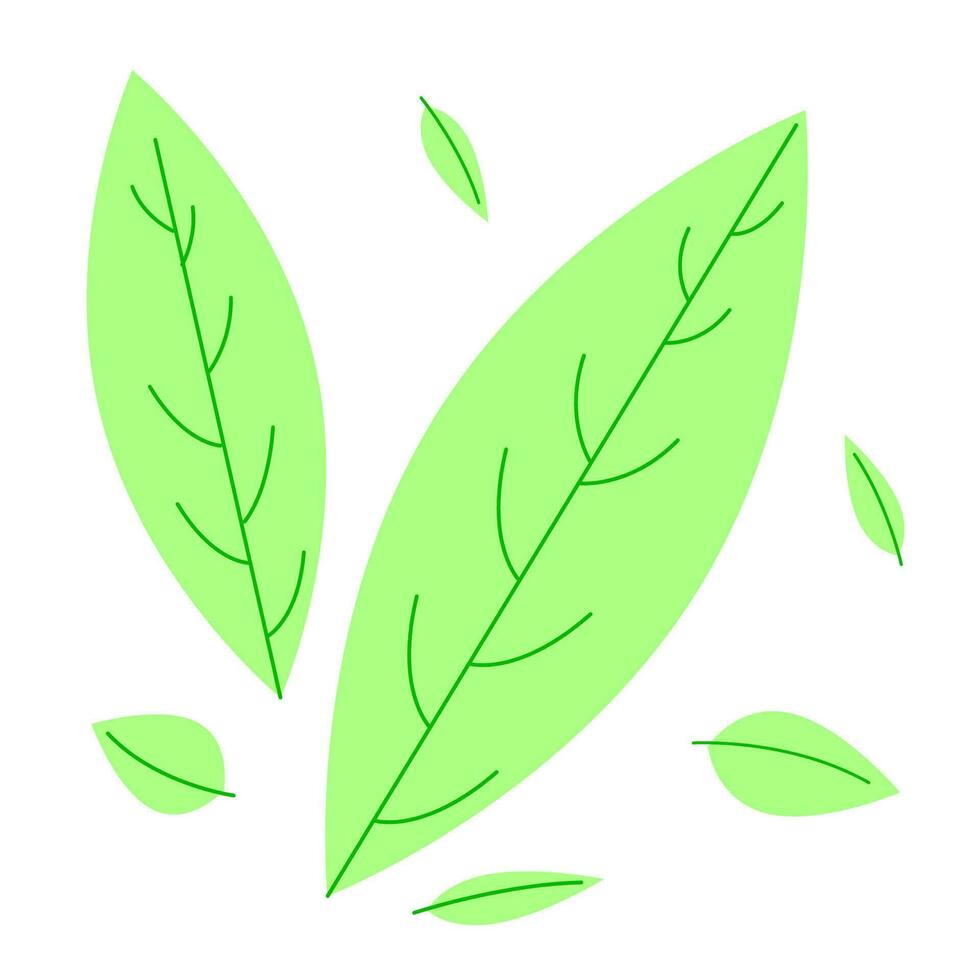 Leaves icon vector set isolated on white background. Elements for eco and bio logos and website.