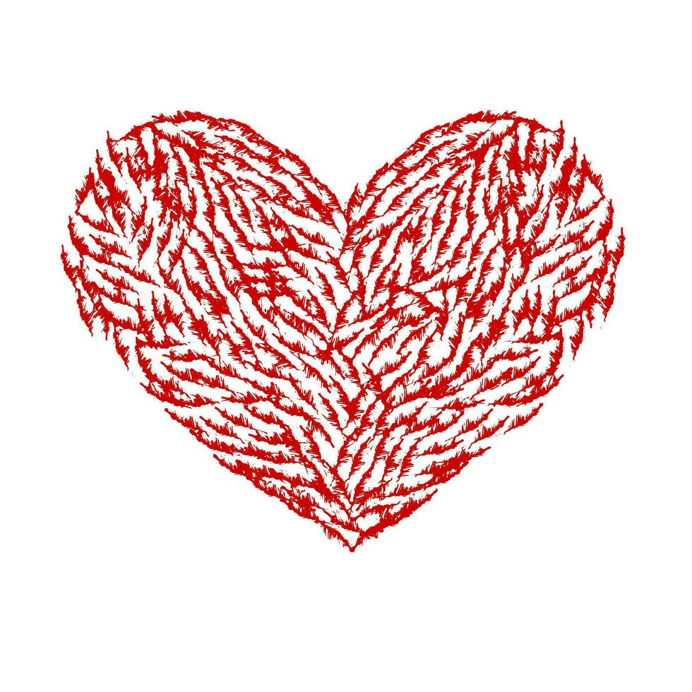 Heart from feathers on white background. Vector illustration.