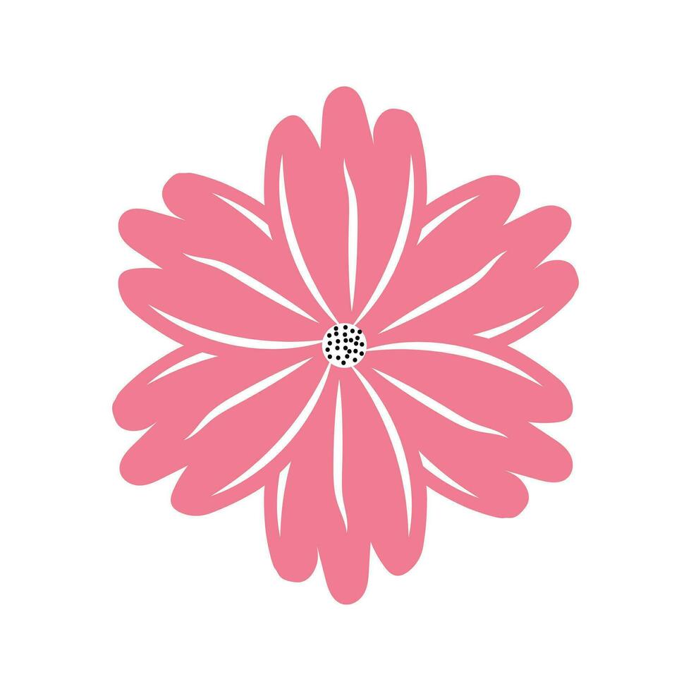 summer floral pink daisy flower vector