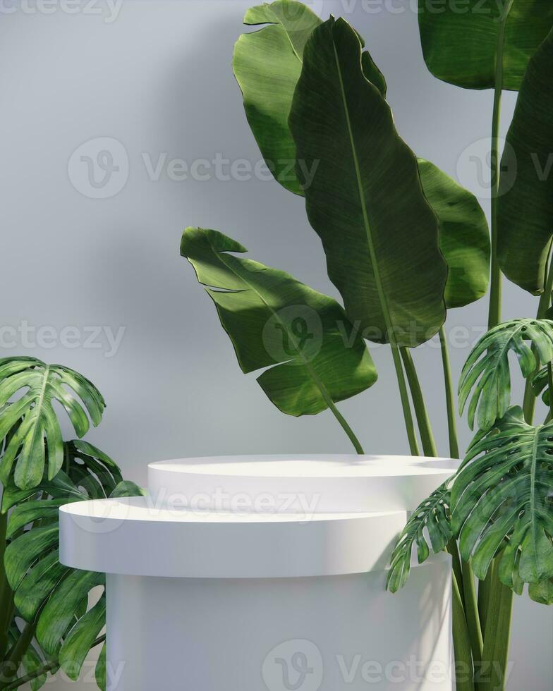 foto 3d hacer blanco podio con plantas para producto monitor tropical concepto