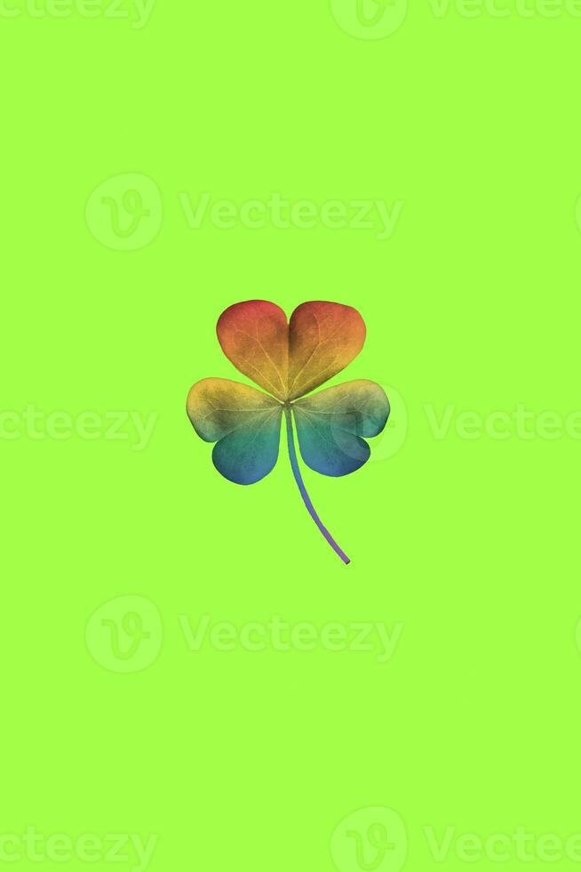 Lucky Clover Three Leafs with Pride Color Wallpaper Background photo