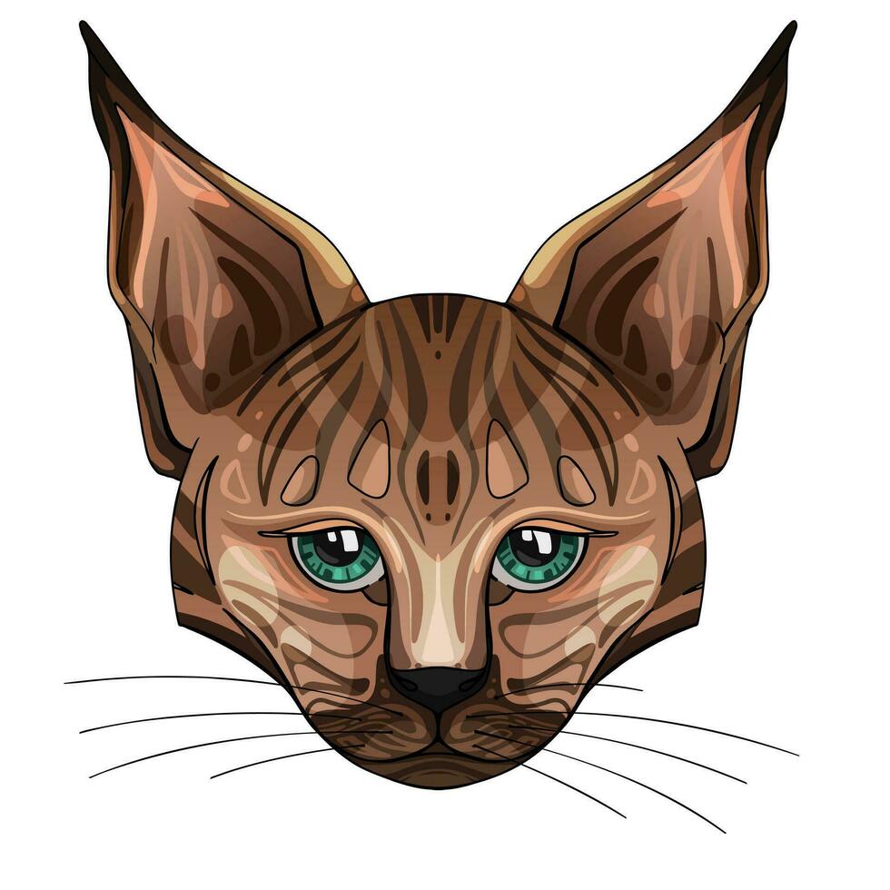 Lynx, frontal view. Vector illustration