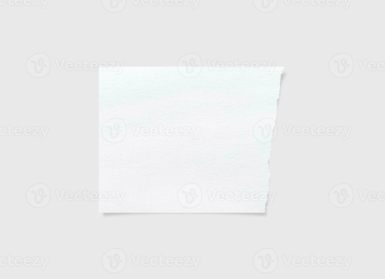 Torn paper edges. Ripped paper texture. Paper tag. White paper sheet for background with clipping path. Close up. photo