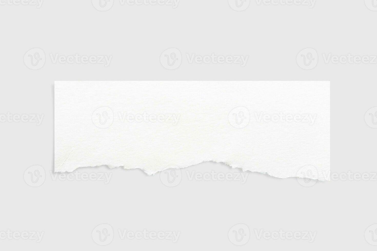 Torn paper edges. Ripped paper texture. Paper tag. White paper sheet for background with clipping path. Close up. photo