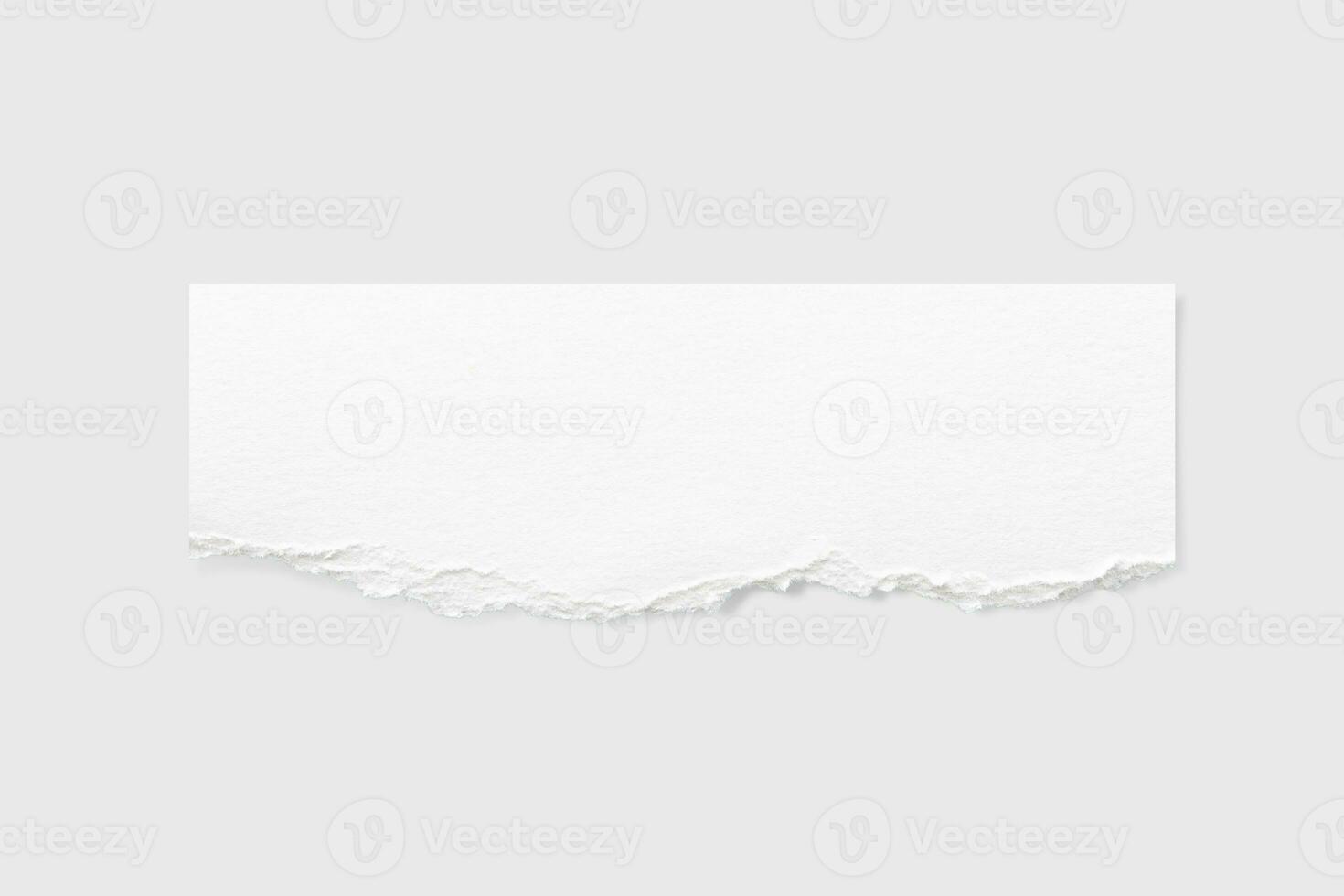 Torn paper edges. Ripped paper texture. Paper tag. White paper sheet for background with clipping path. Close up. photo