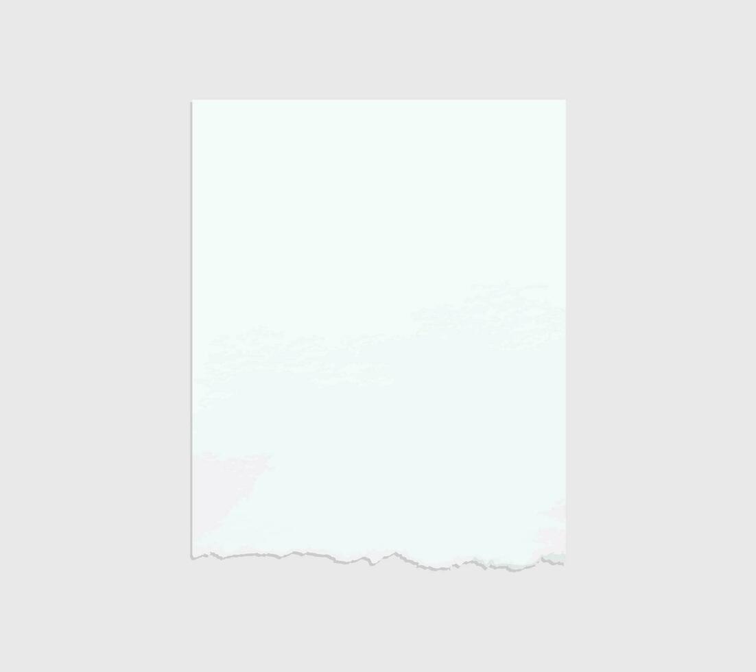 Torn paper edges. Ripped paper texture. Paper tag. White paper sheet for background with clipping path. Vector. vector