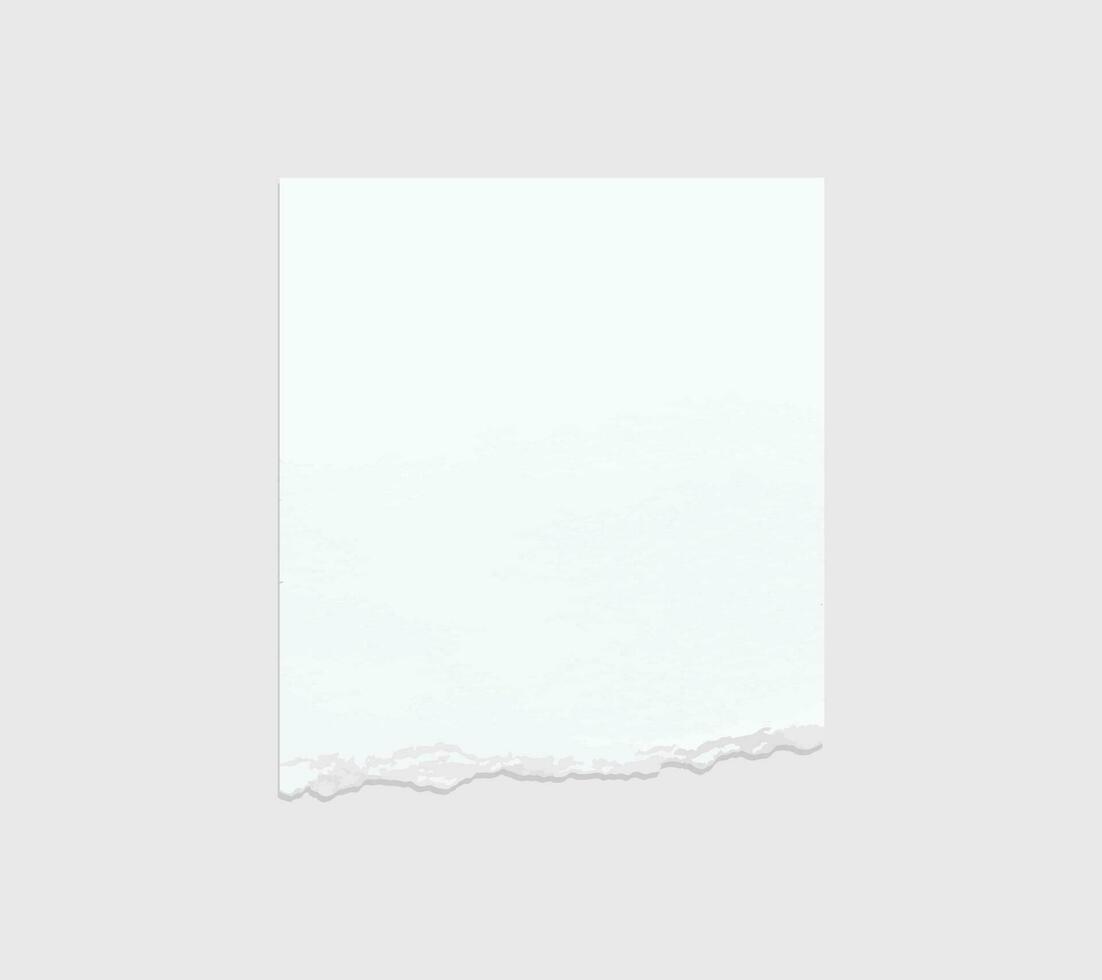 Torn paper edges. Ripped paper texture. Paper tag. White paper sheet for background with clipping path. Vector. vector