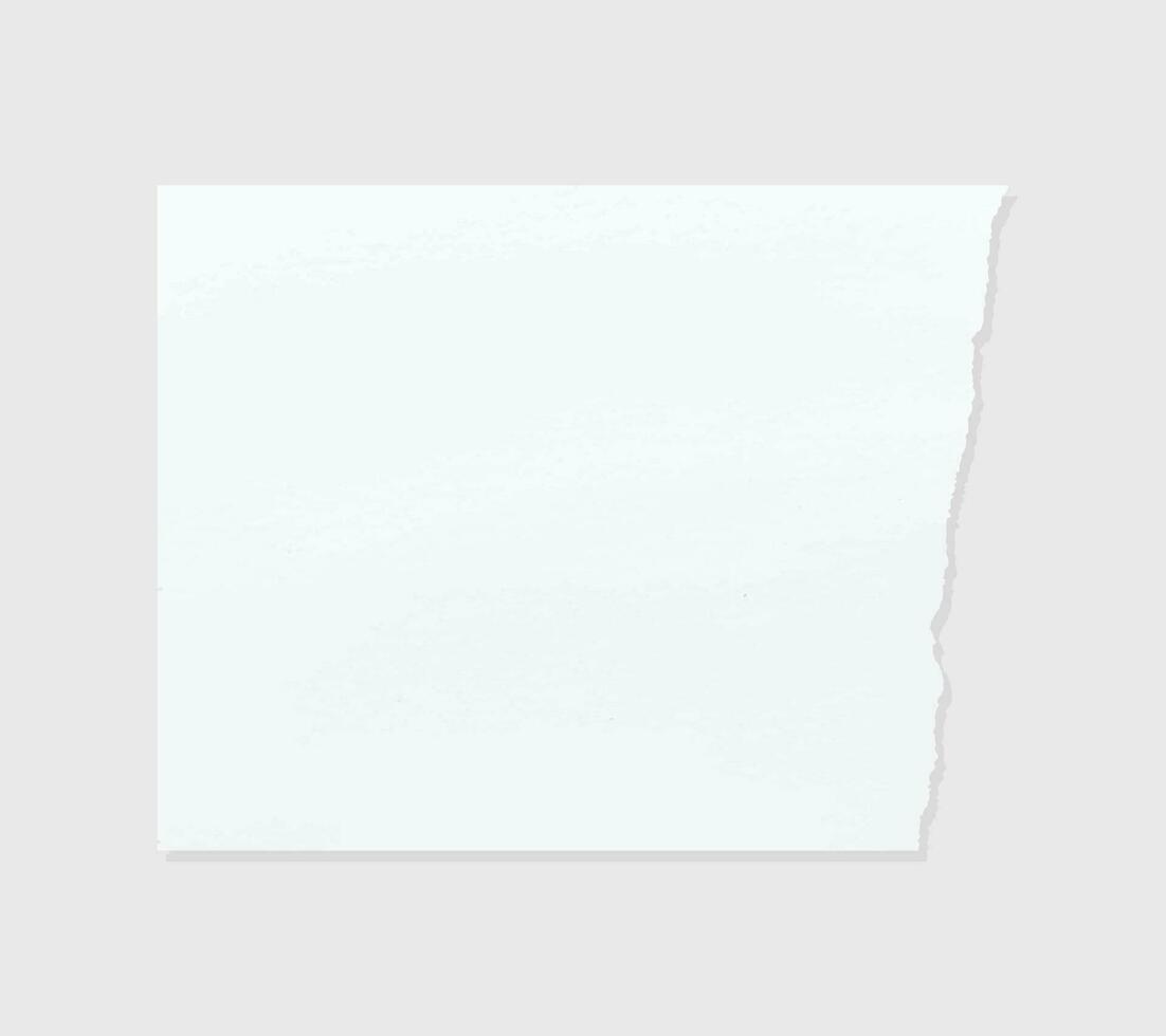 Torn paper edges. Ripped paper texture. Paper tag. White paper sheet for background with clipping path. Vector. vector