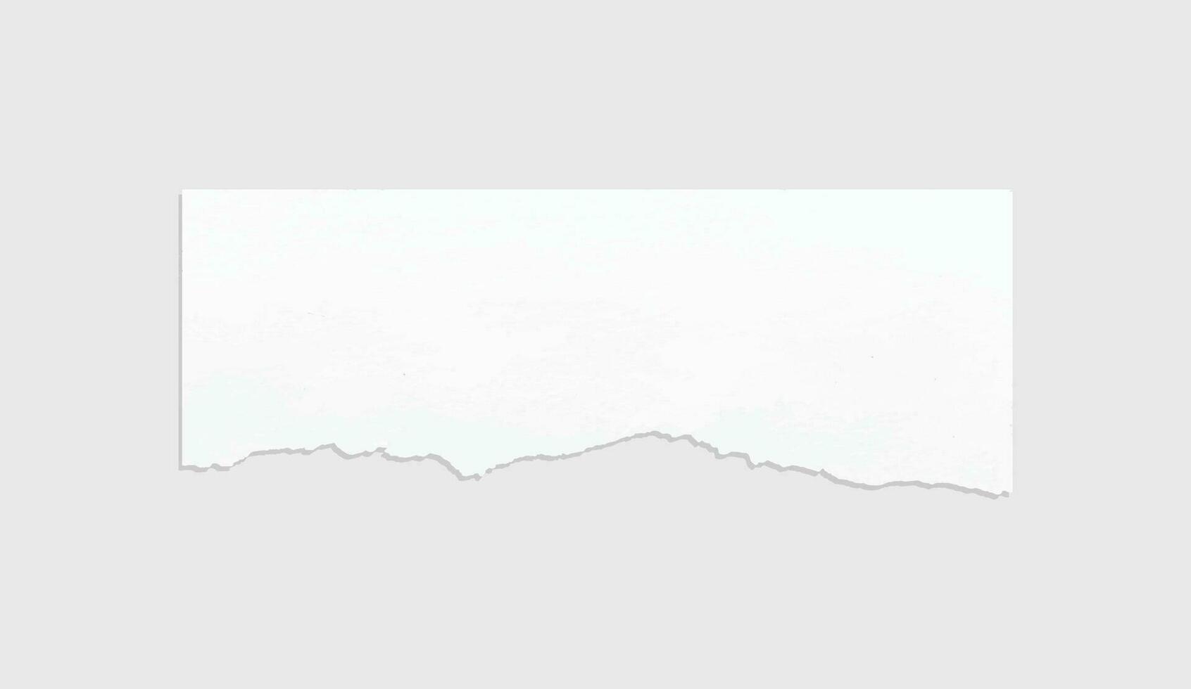 Torn paper edges. Ripped paper texture. Paper tag. White paper sheet for background with clipping path. Vector. vector