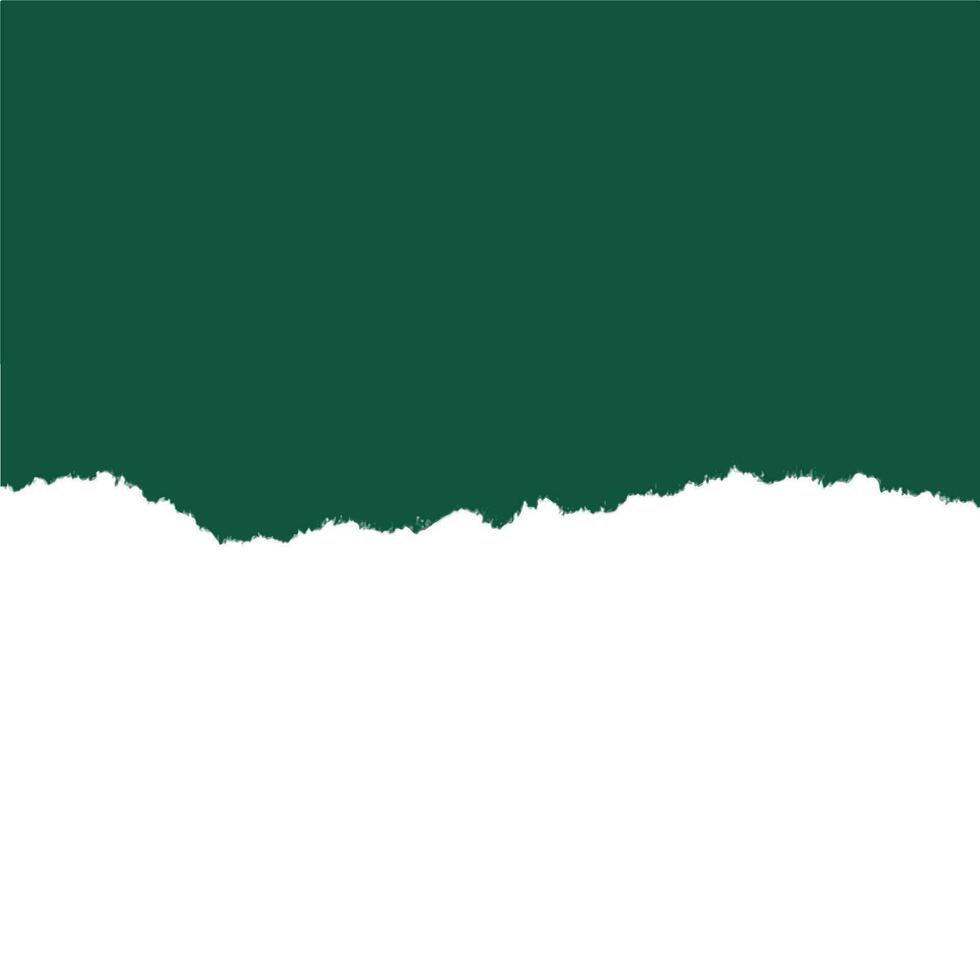 Pakistan Independence day background Flag vector