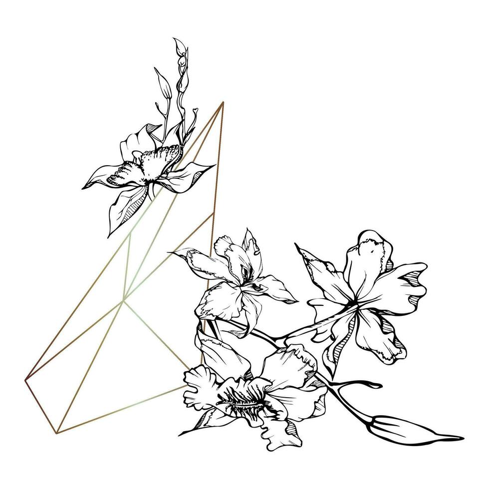 Hand drawn vector ink orchid flowers and branches, monochrome, detailed outline. Composition with crystal form. Isolated on white background. Design for wall art, wedding, print, tattoo, cover, card.