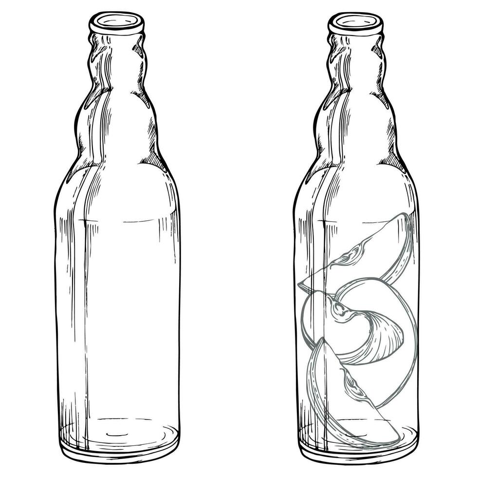 Hand drawn ink composition with ripe apple fruit slices in glass bottle. Isolated object on white background. Design for wall art, wedding, print, fabric, cover, card. vector