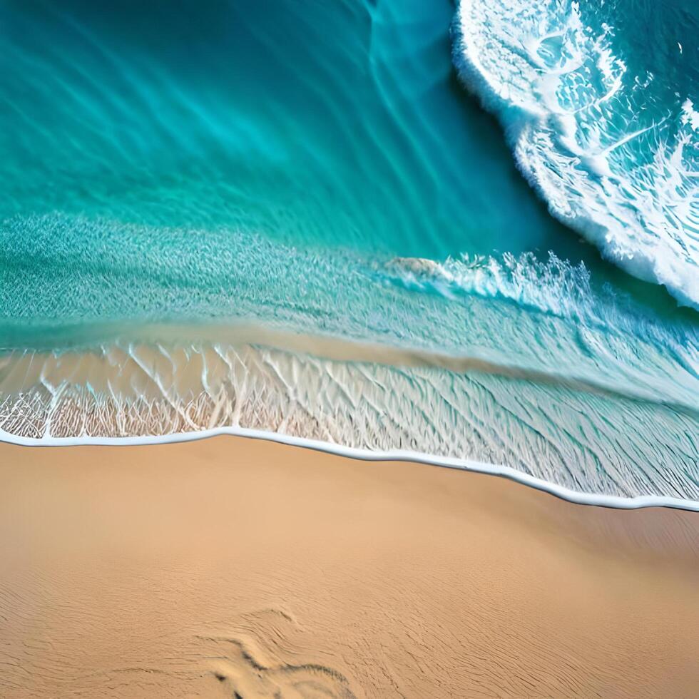 Beach day with palm trees photo