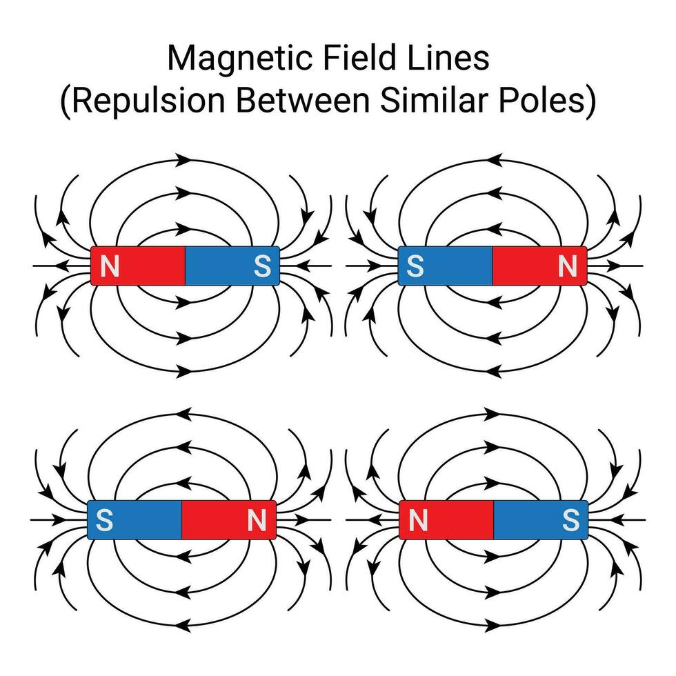 Similar Poles of Magnet Repel Each Other. Magnetic Field Lines. vector