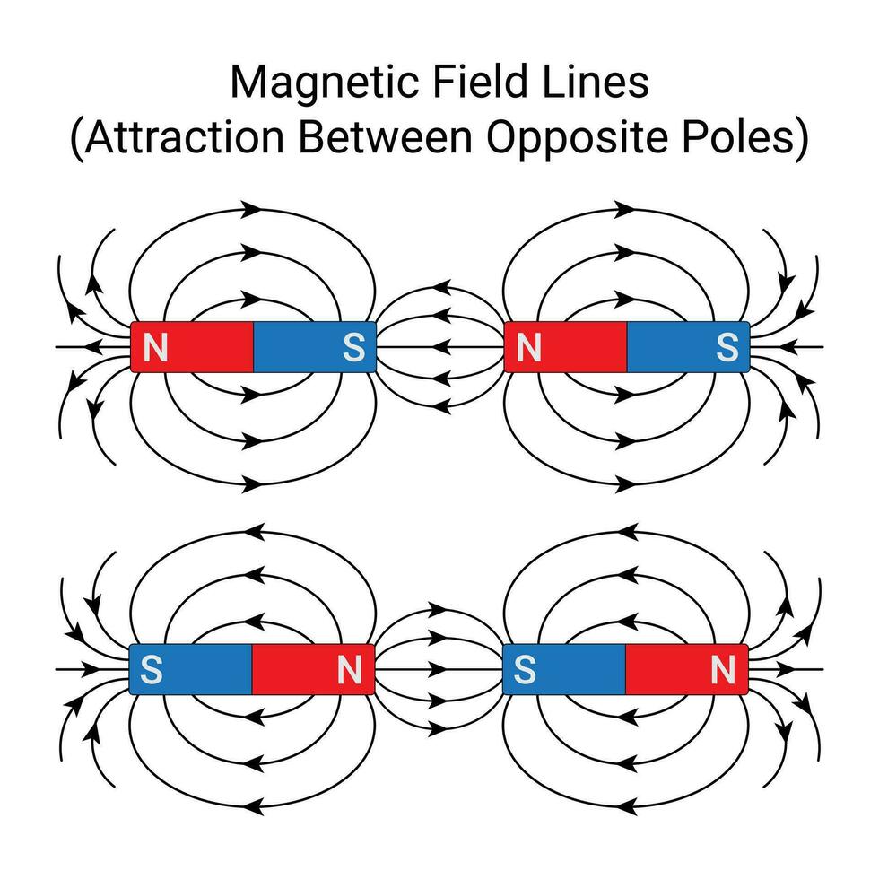 Opposite Poles of Attract Each Other. Field Lines