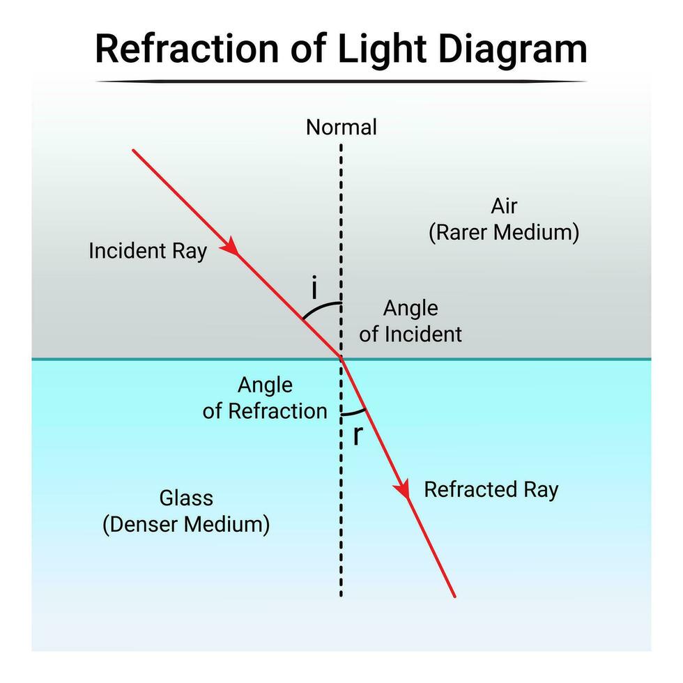 refracción de ligero diagrama vector