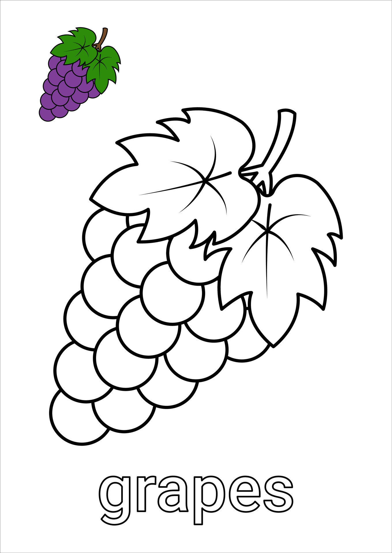 Grape Coloring Pages - Grapes Coloring Page For Kids Free Vector