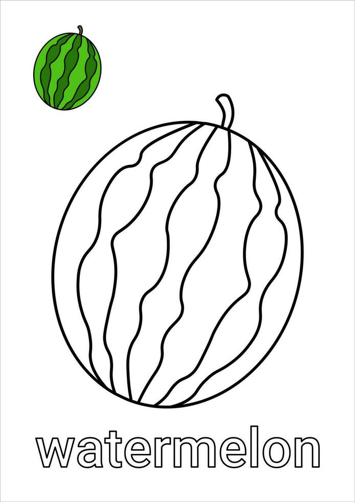 Watermelon Coloring Page for Kids vector