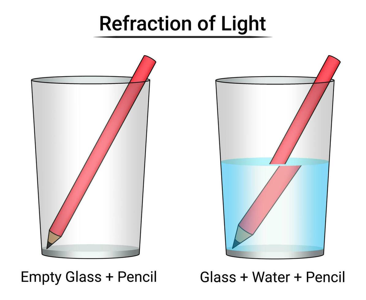 refracción de ligero experimentar lápiz en agua vector