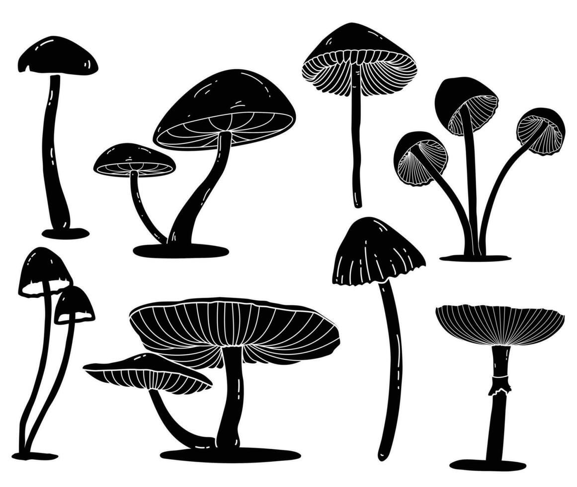 Mushroom black silhouette set, vector illustration