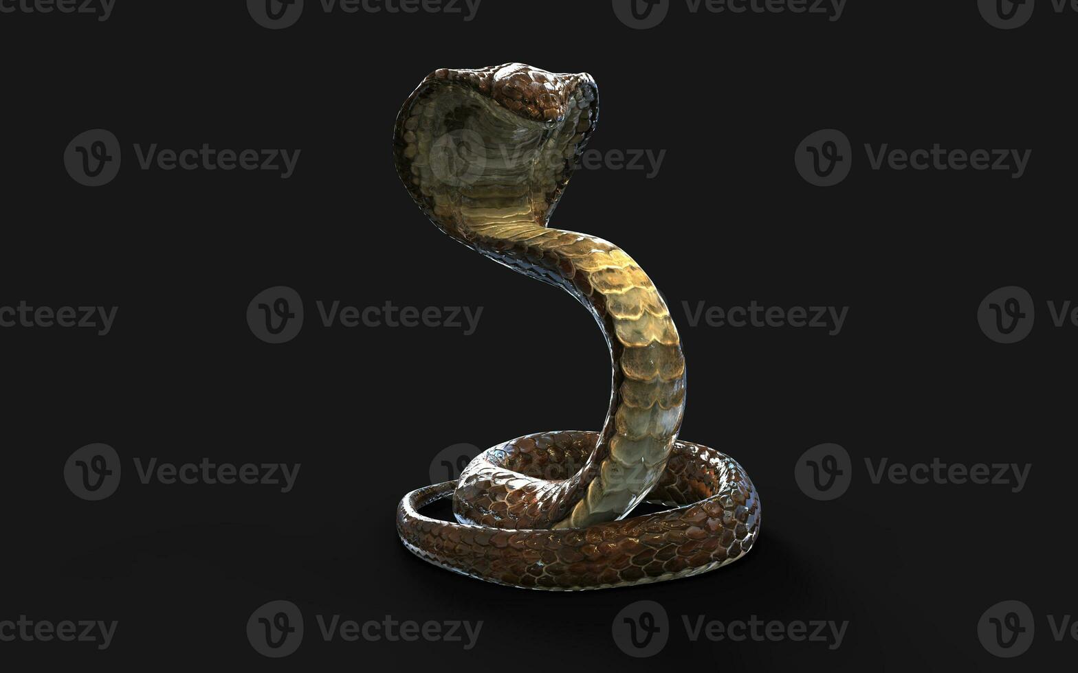 3d Illustration Blown Color of King Cobra The World's Longest Venomous Snake Isolated on Black Background, King Cobra Snake with Clipping Path photo