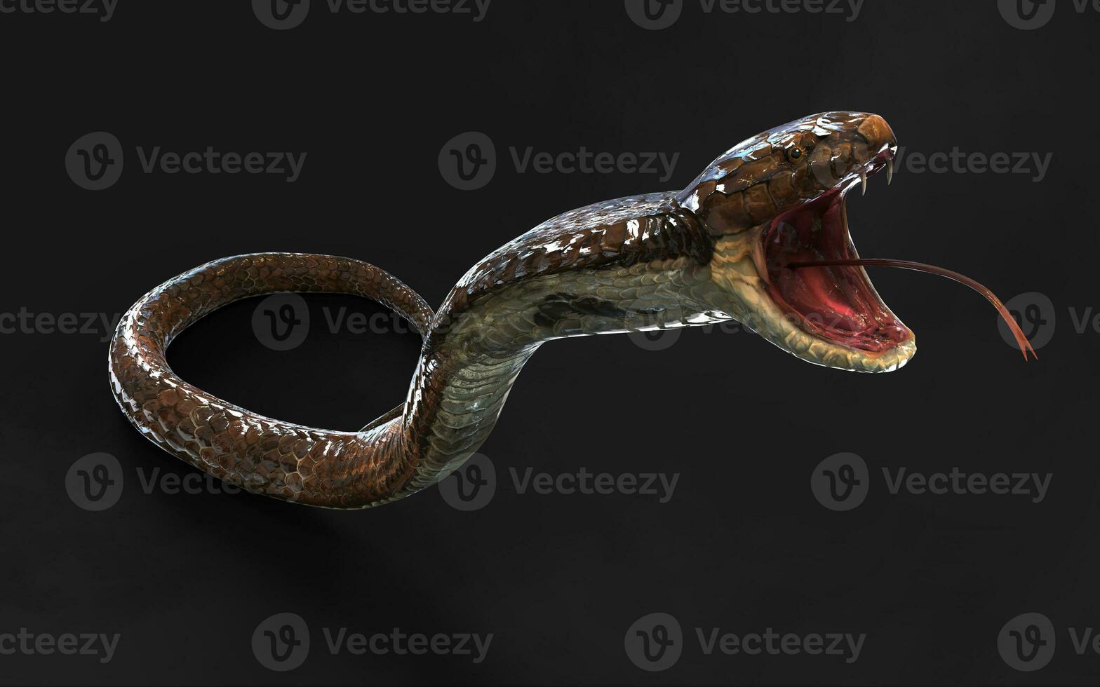 3d Illustration Blown Color of King Cobra The World's Longest Venomous Snake Isolated on Black Background, King Cobra Snake with Clipping Path photo