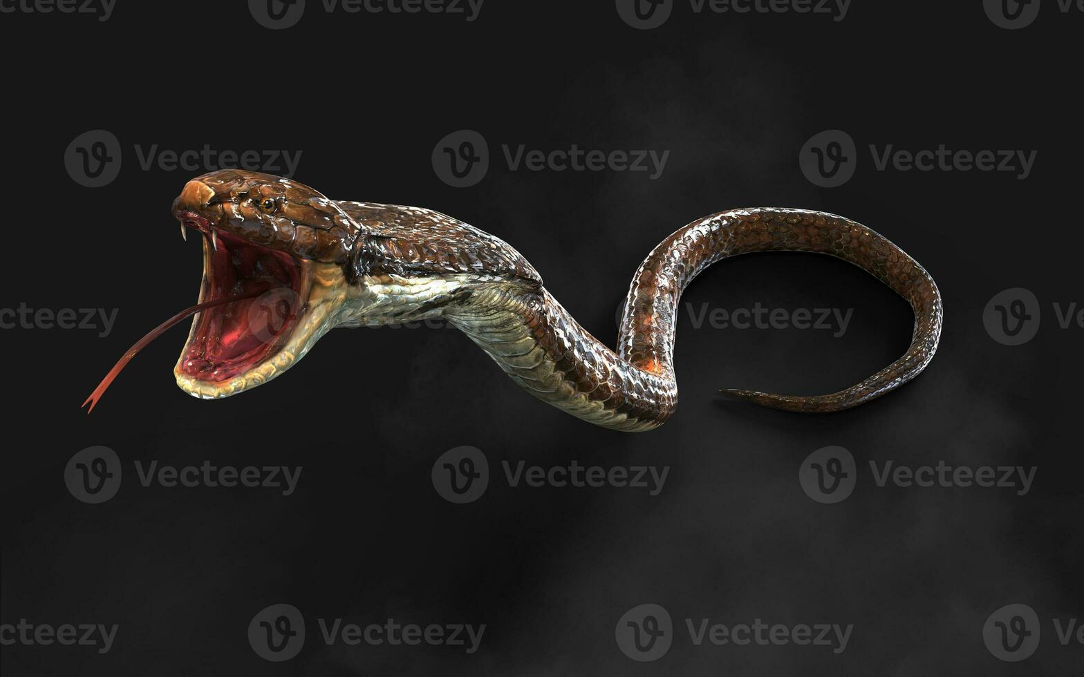 3d Illustration Blown Color of King Cobra The World's Longest Venomous Snake Isolated on Black Background, King Cobra Snake with Clipping Path photo