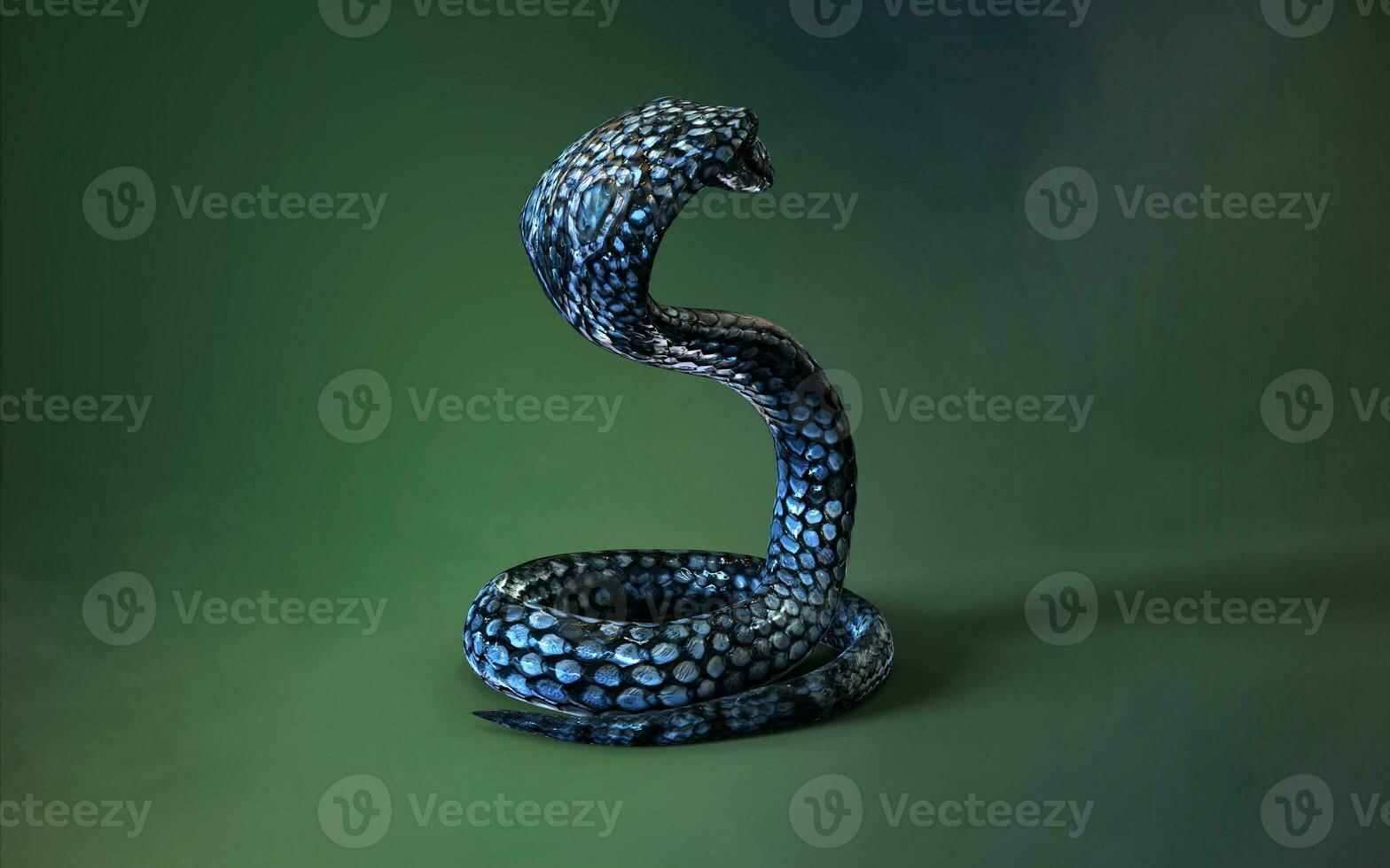 3d Illustration Blue color of King Cobra The World's Longest Venomous Snake Isolated on Green Background, King Cobra Snake with Clipping Path photo