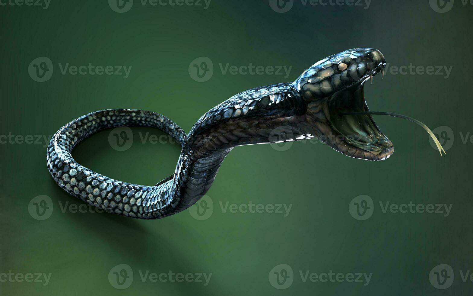 3d Illustration Blue color of King Cobra The World's Longest Venomous Snake Isolated on Green Background, King Cobra Snake with Clipping Path photo