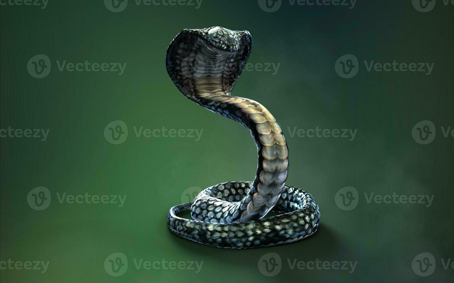 3d Illustration Blue color of King Cobra The World's Longest Venomous Snake Isolated on Green Background, King Cobra Snake with Clipping Path photo