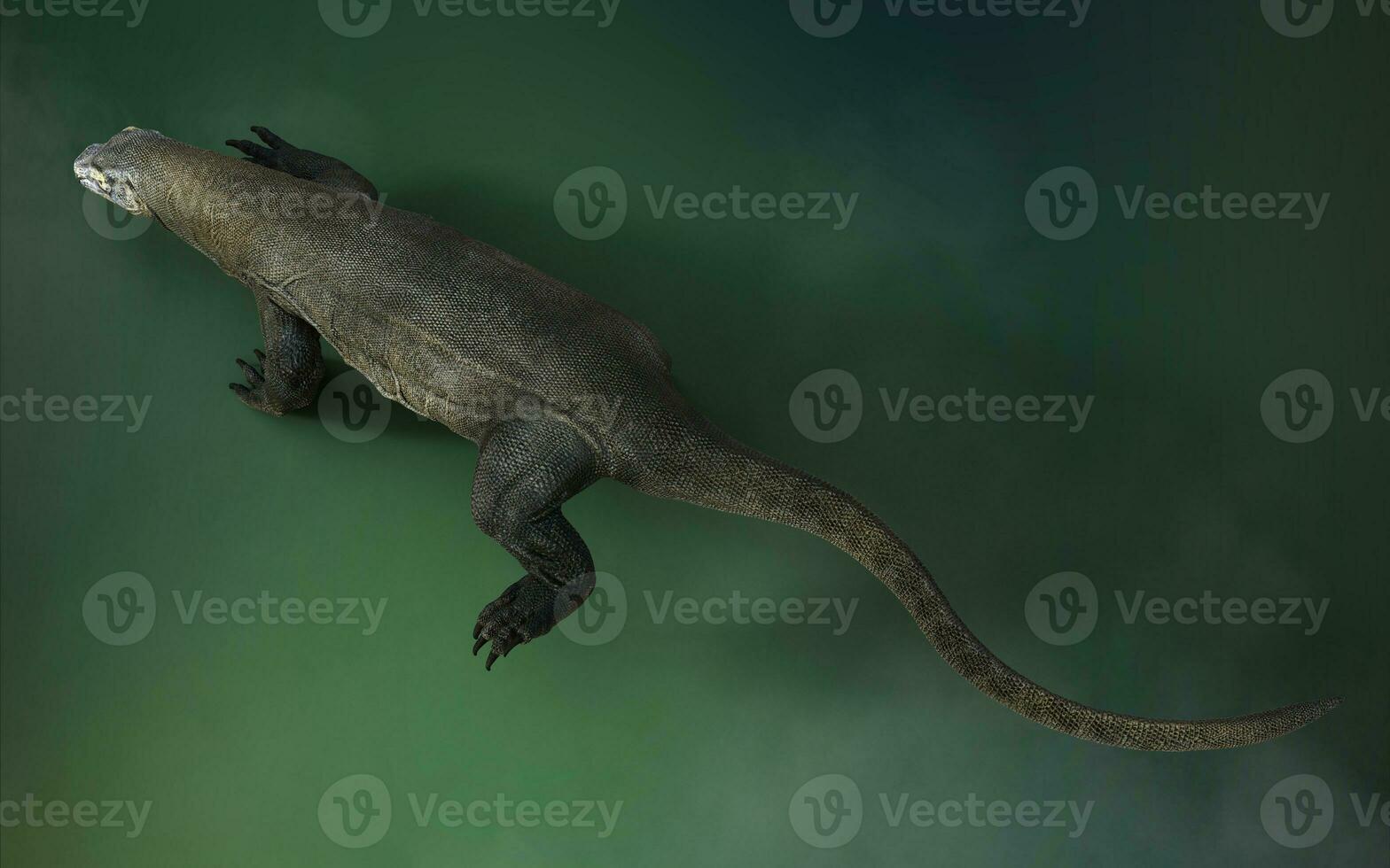 3D rendering of a komodo dragon isolated on green background with clipping path. photo