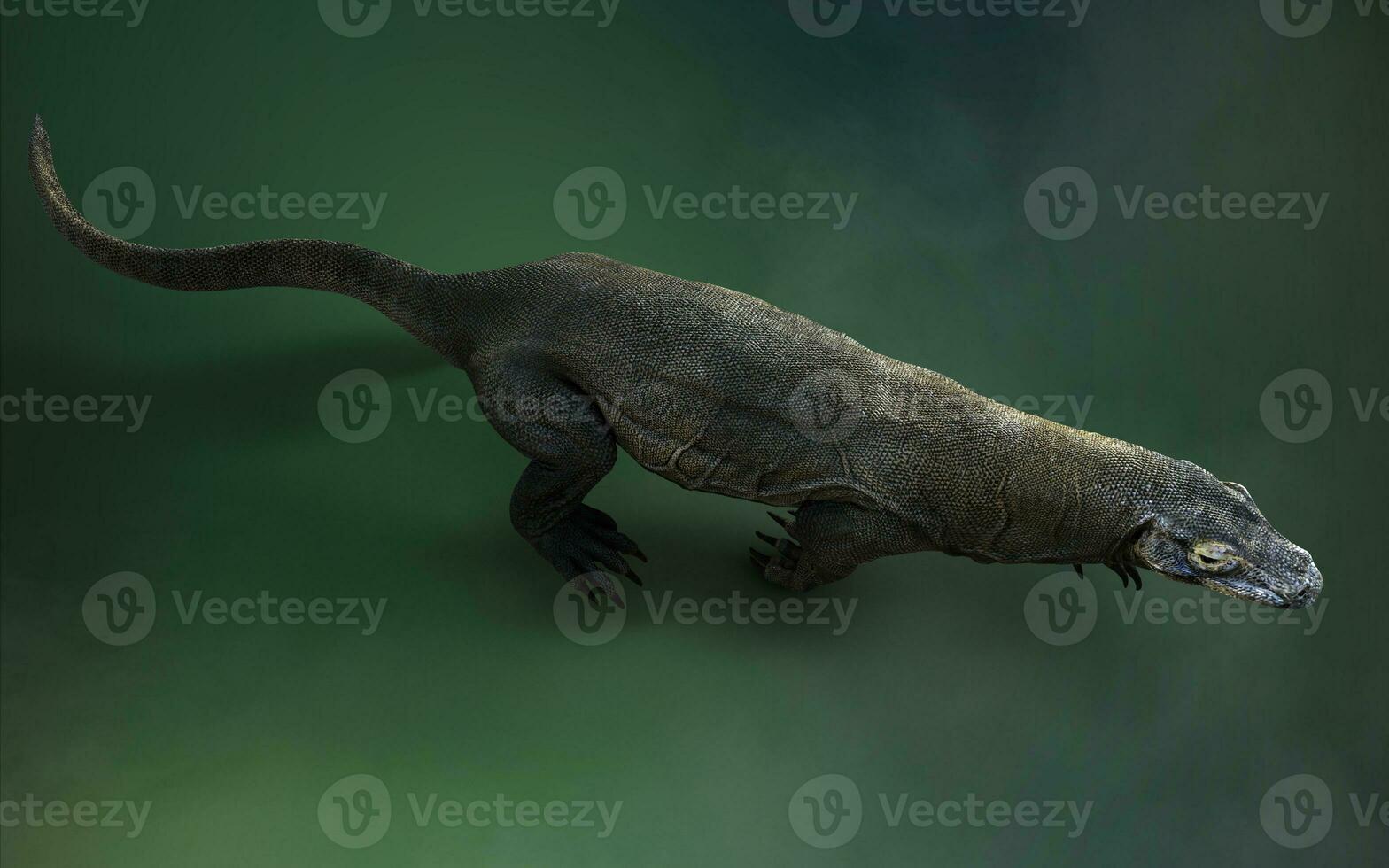 3D rendering of a komodo dragon isolated on green background with clipping path. photo