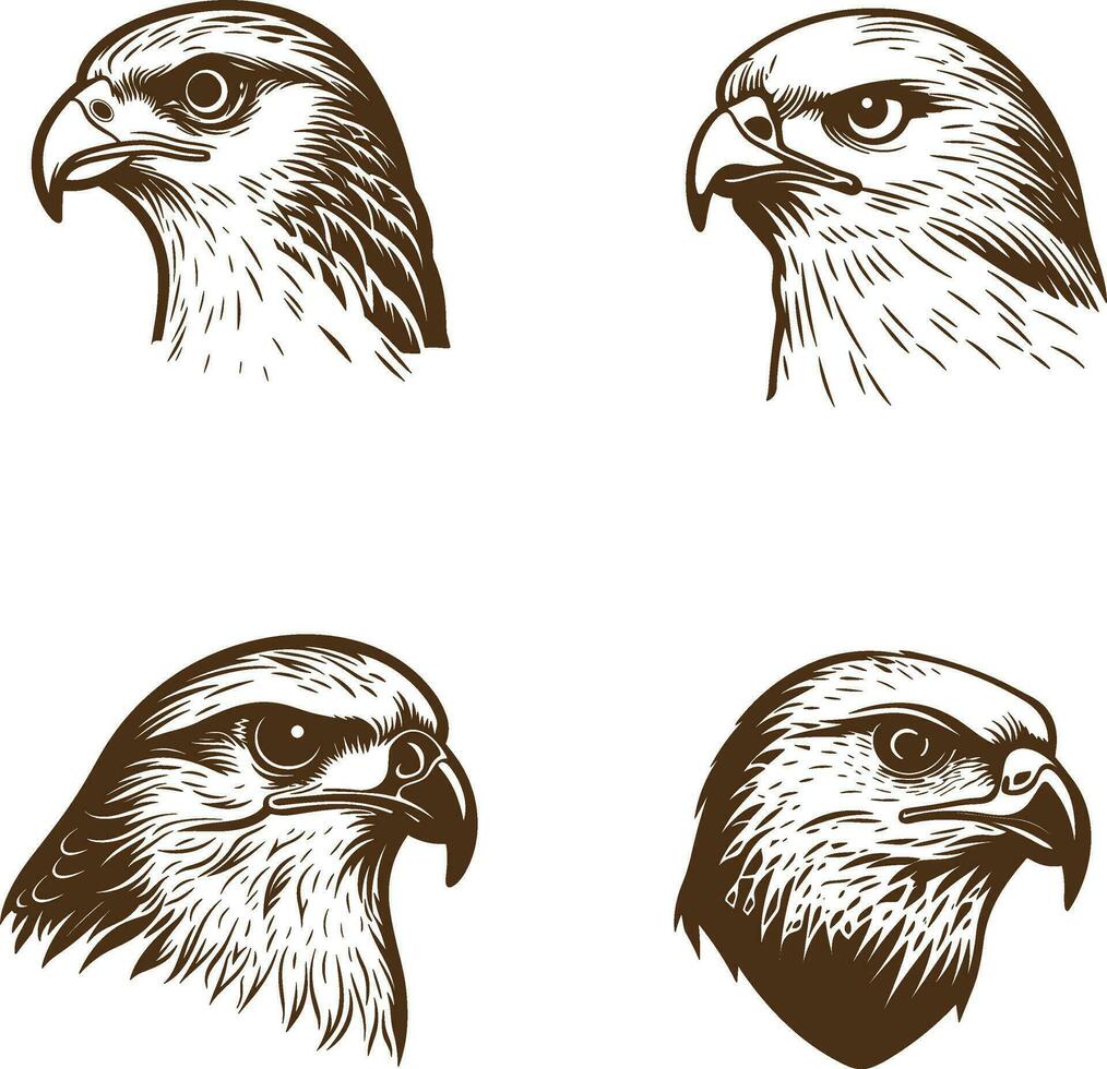 Vector illustration of Bald eagle 03