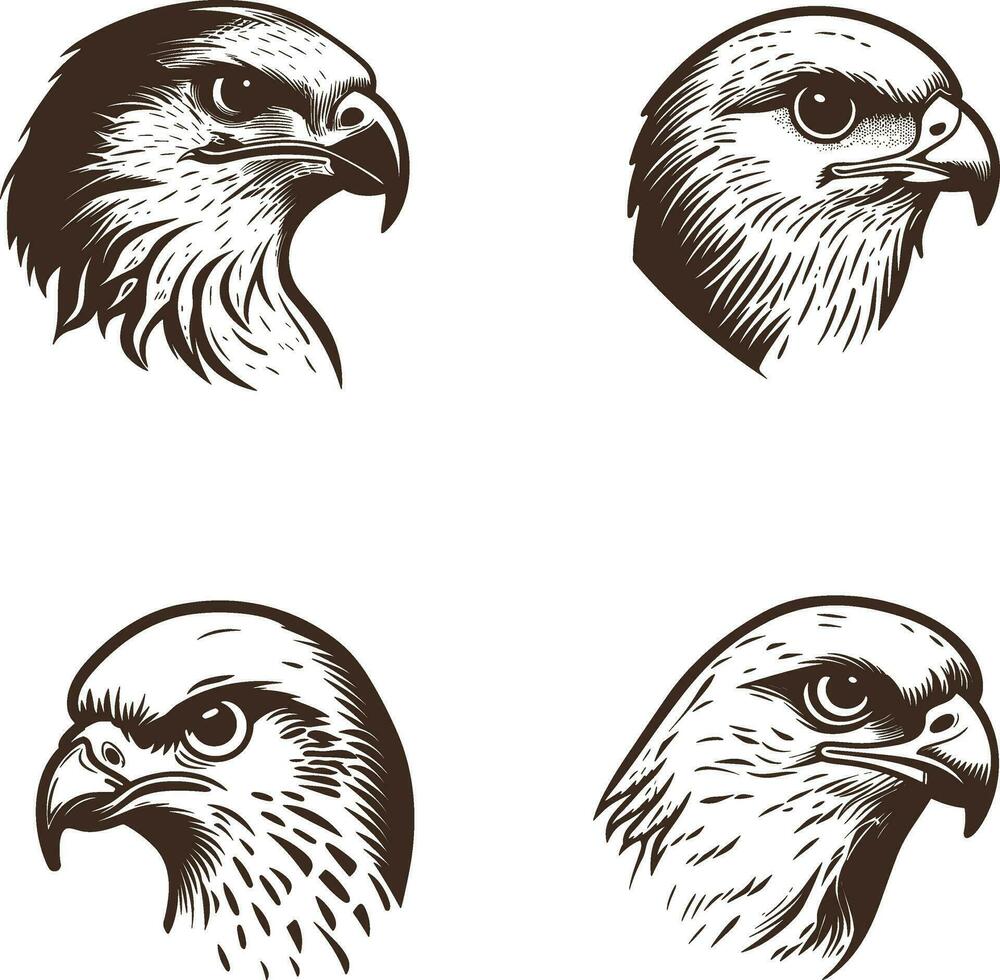 vector ilustración de calvo águila