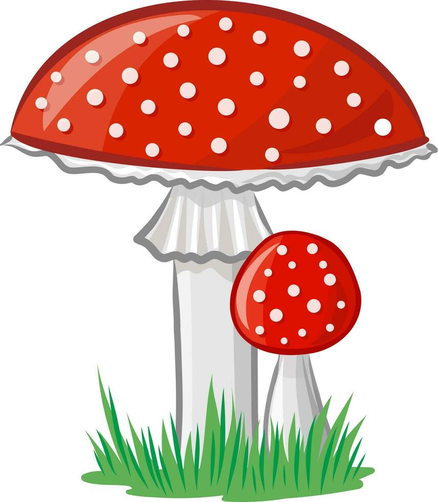 Fly agaric vector image without background