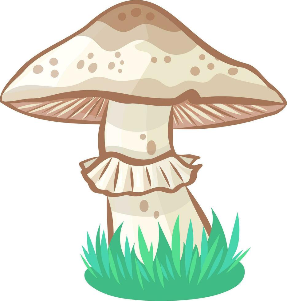 Wild champignon mushroom vector image without background