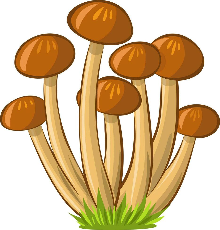 Honey agaric vector image without background