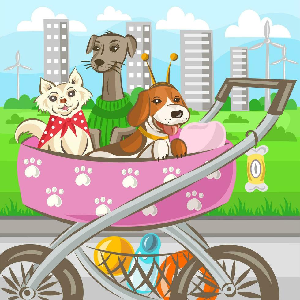 Three home dogs chihuahua, greyhound and beagle in stroller during walking in park - vector illustration