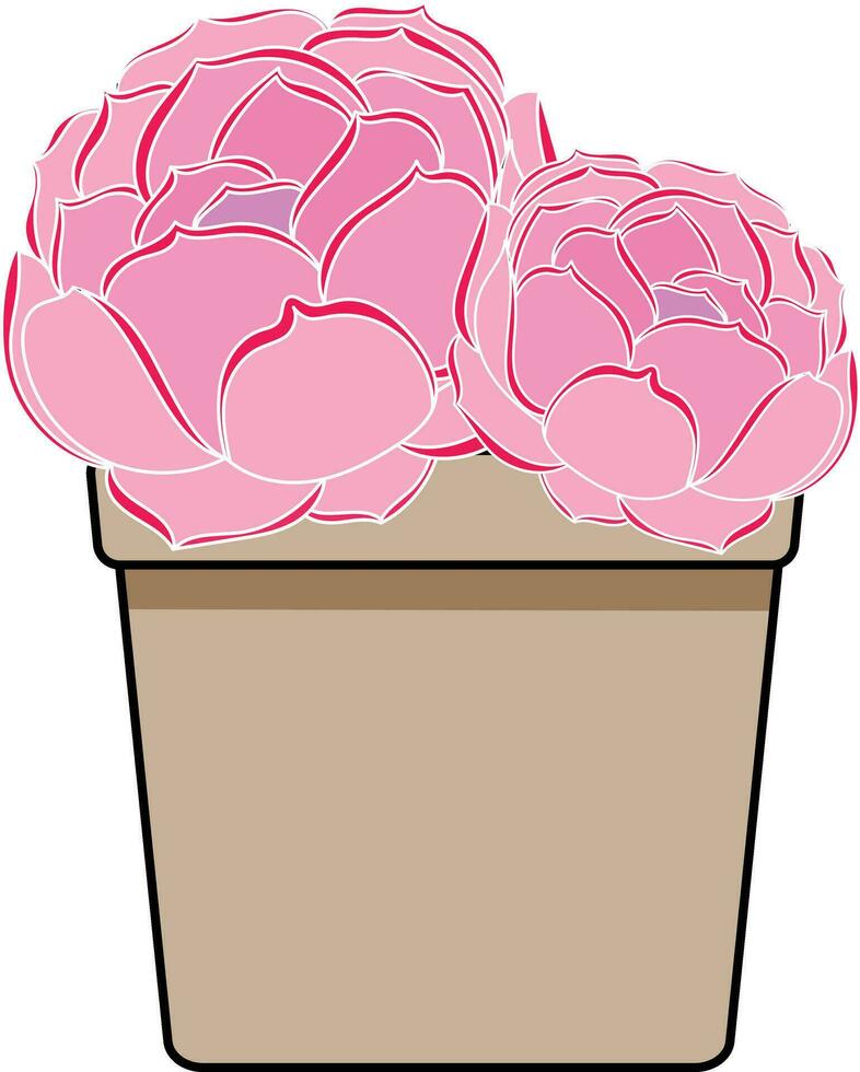 Abstract Echeveria Lolita plant in the pot with empty background. vector