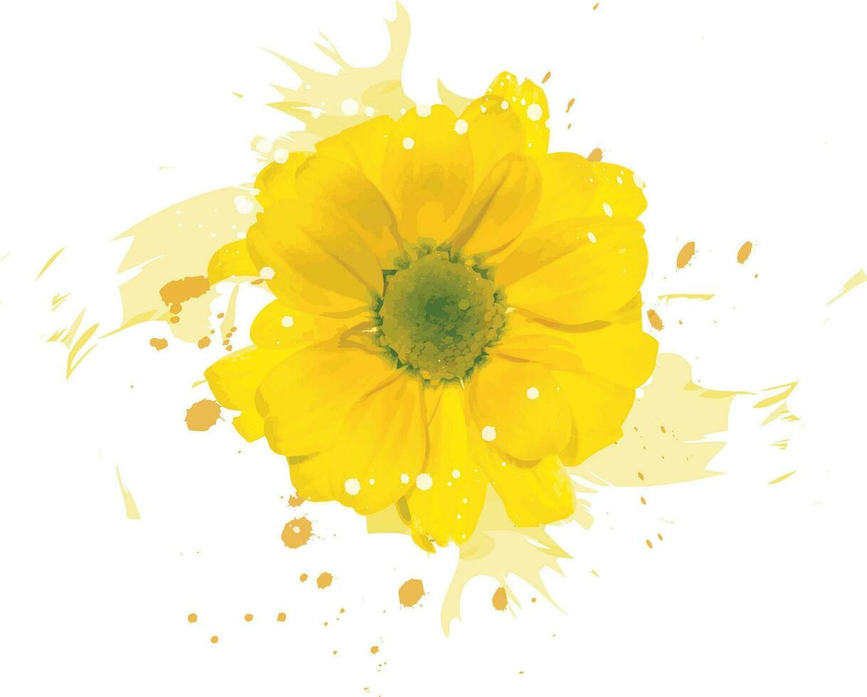 Abstract of yellow Chrysanthemum flower with color spread background. vector