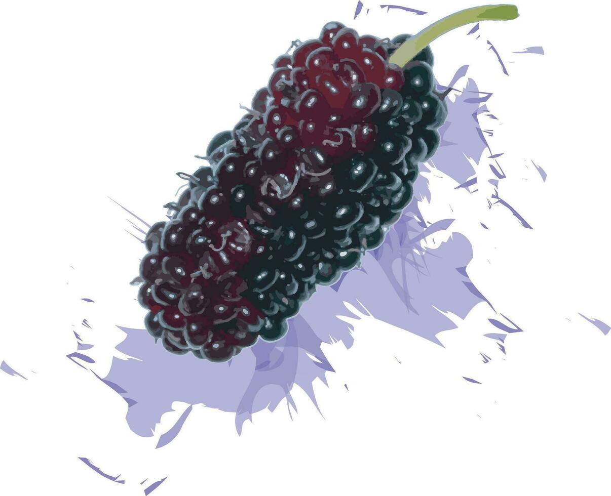 resumen de mora Fruta con color untado en blanco antecedentes. vector