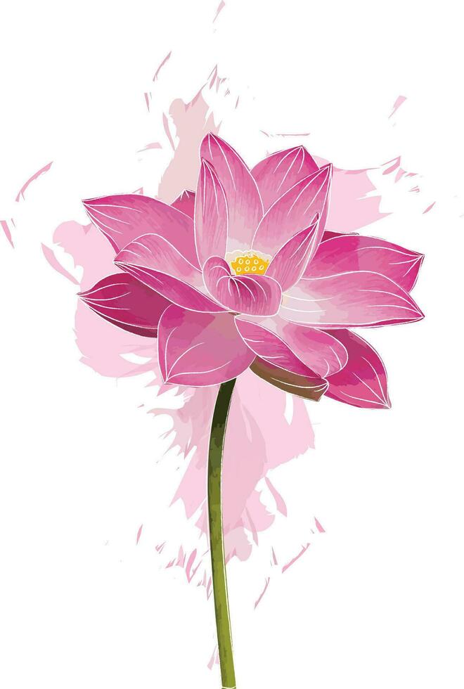 Abstract of pink lotus flower with color spread background. vector