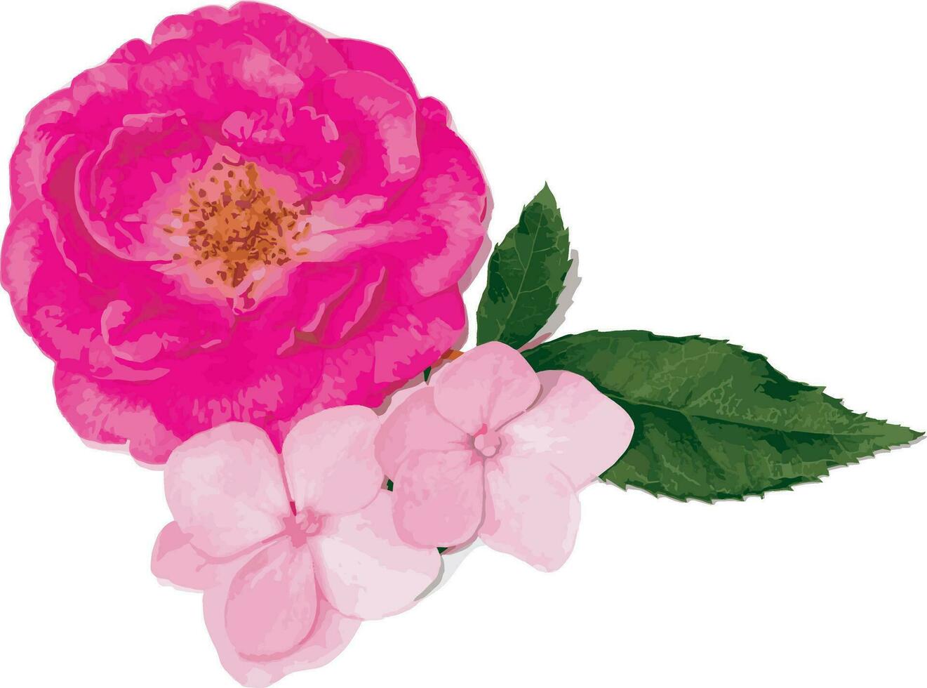 damasco Rosa flor con hortensia flor. vector