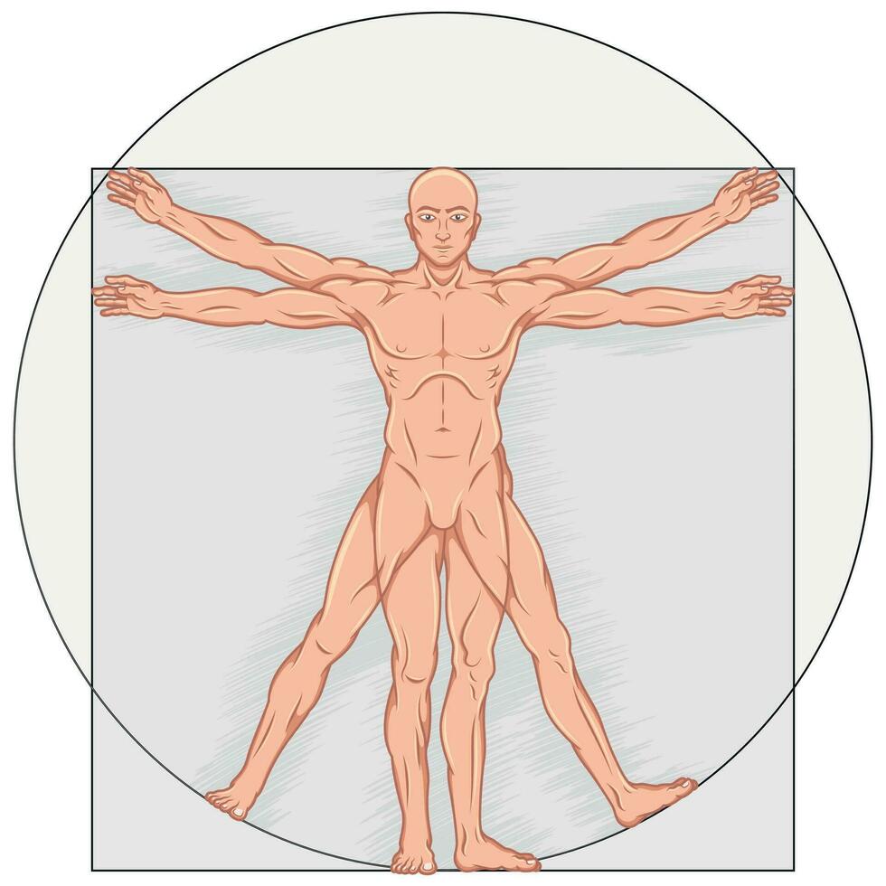 Vitruvian man Vector design